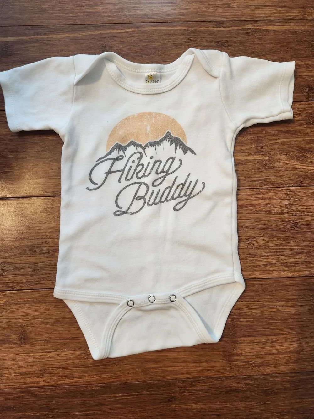 Baby Boys Hiking Buddy Bodysuit Onesie & Blue Drawstring Shorts, 12-18 Months